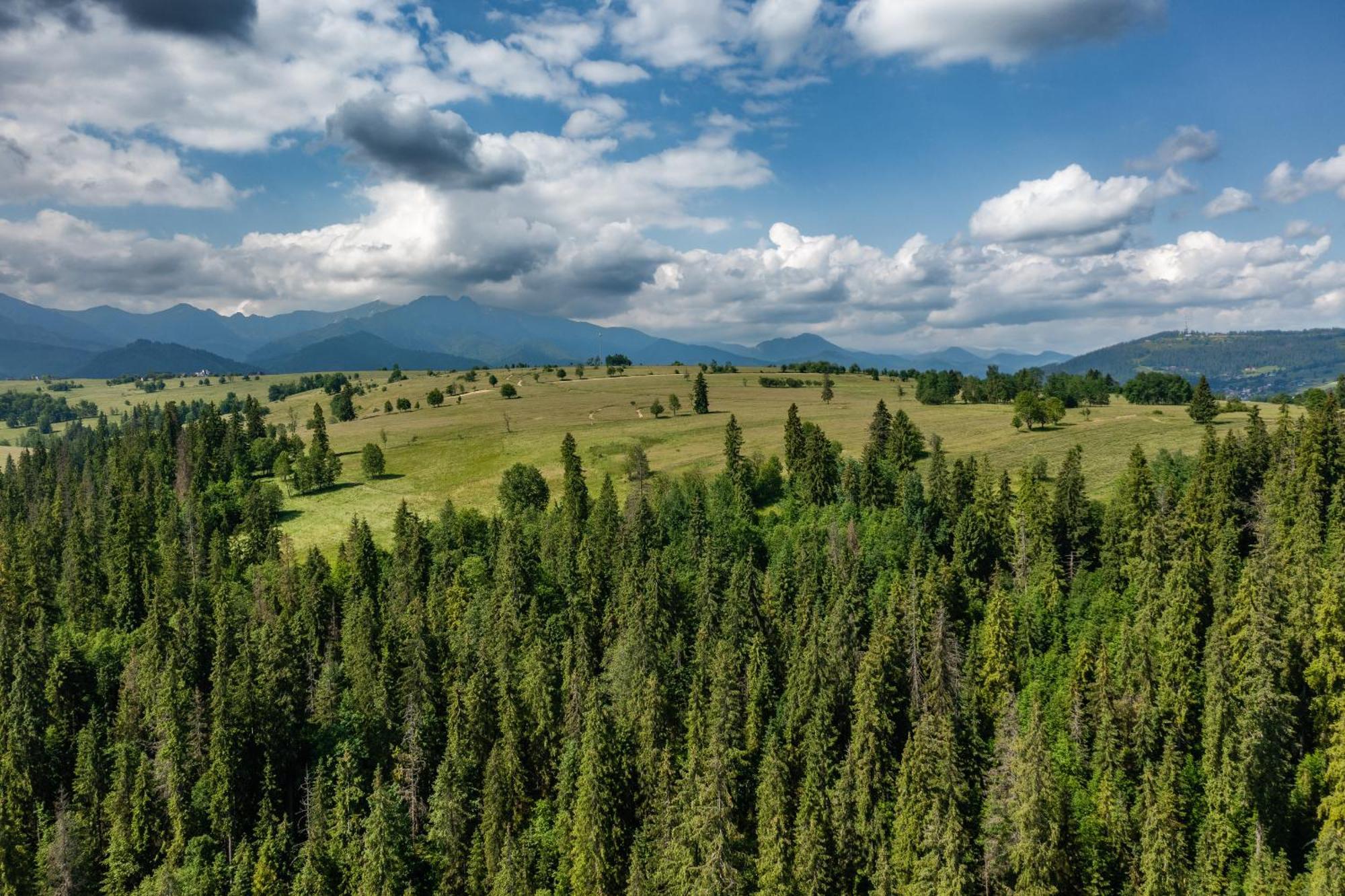 Smrekowa Ostoja Villa Poronin Bagian luar foto